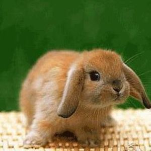 Meet your Posher, Kevan